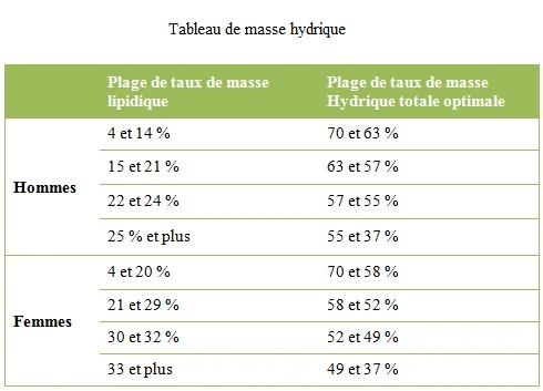 Illustration de la masse musculaire et du poids santé